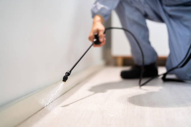 Bed Bug Pre-Treatment Preparation Assessment in Medical Lake