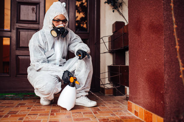Multi-Unit and Airbnb Bed Bug Protocol in Medical Lake