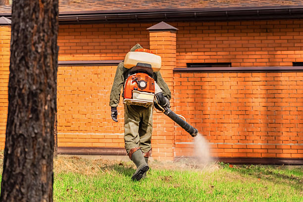 Bed Bug Clearance Verification and Documentation in Medical Lake